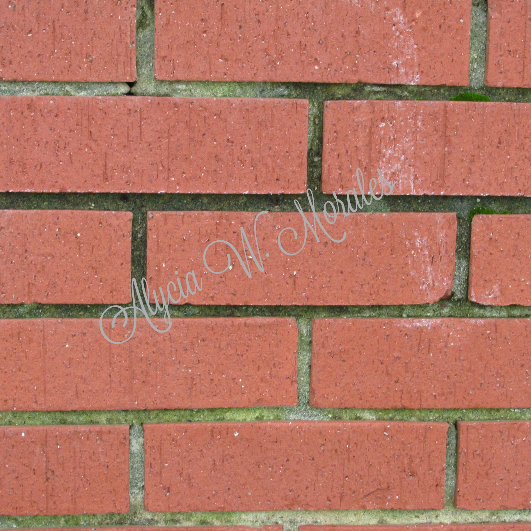Background Images Pack : Brick & Bark - Image 3