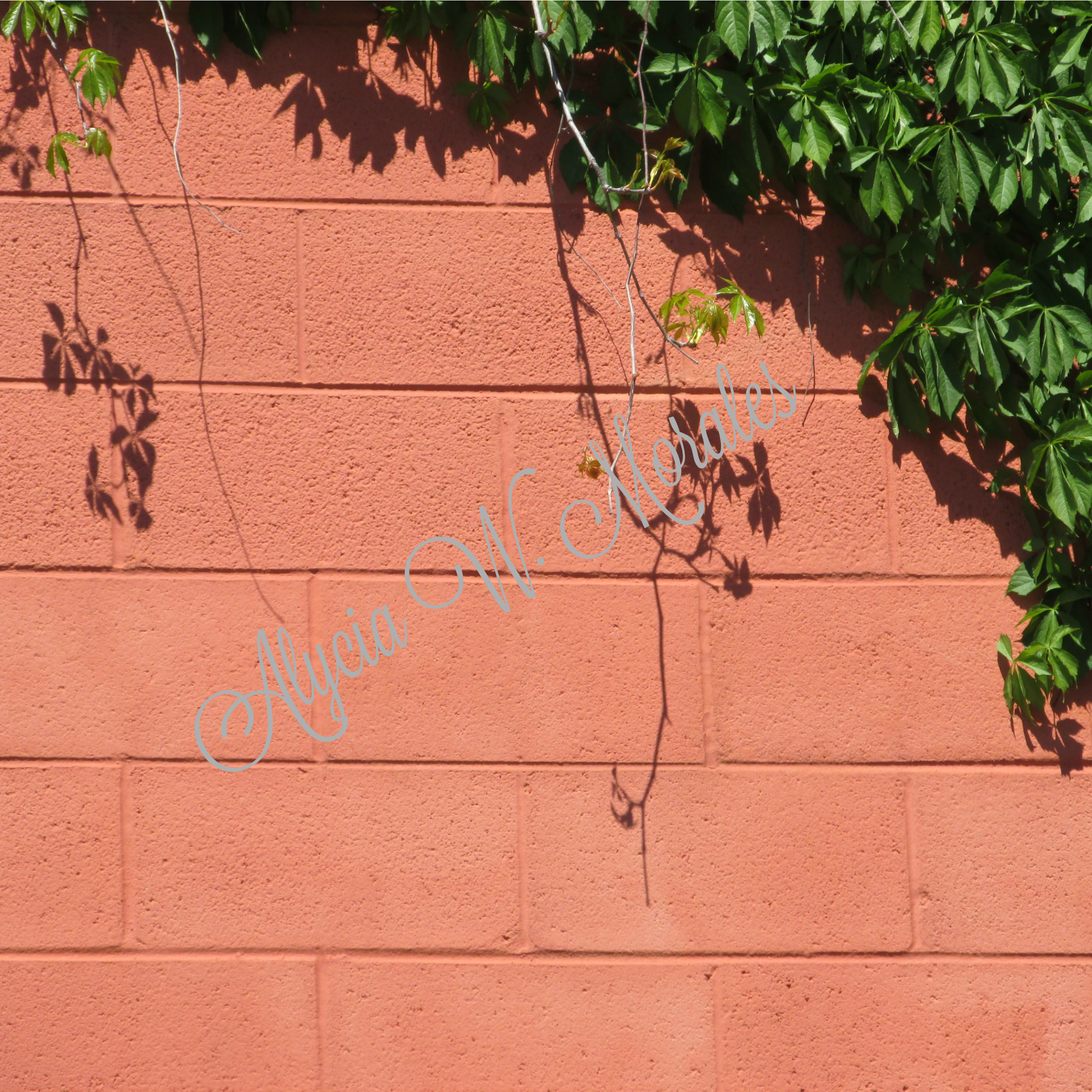 Background Images Pack : Brick & Bark - Image 2