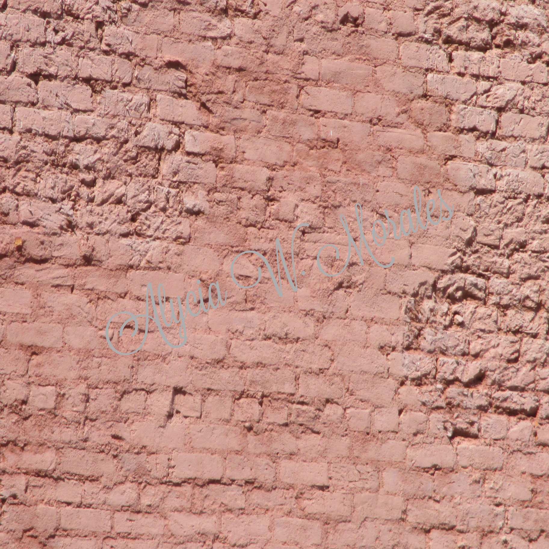 Background Images Pack : Brick & Bark - Image 6