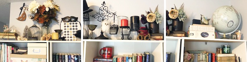 Top Shelf Bookshelves Organization