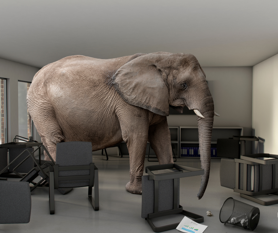 elephant in the room